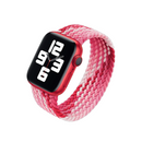 Braided Nylon Solo Loop Apple Watch Band - Tropical