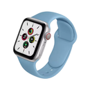 Classic Silicone Apple Watch Band