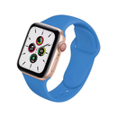 Classic Silicone Apple Watch Band