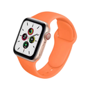 Classic Silicone Apple Watch Band