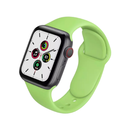 Classic Silicone Apple Watch Band