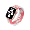 Braided Nylon Solo Loop Apple Watch Band - Tropical